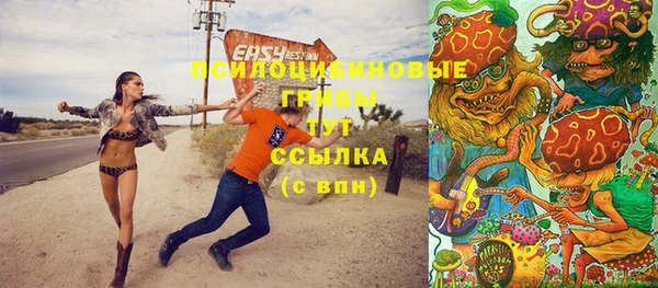 ешки Надым