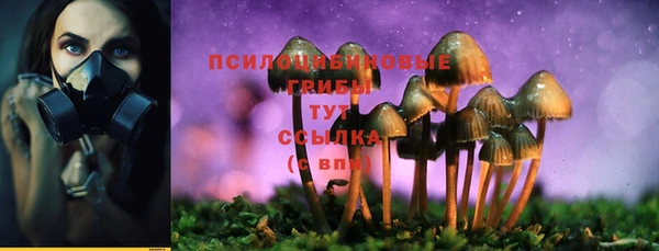 дмт Навашино