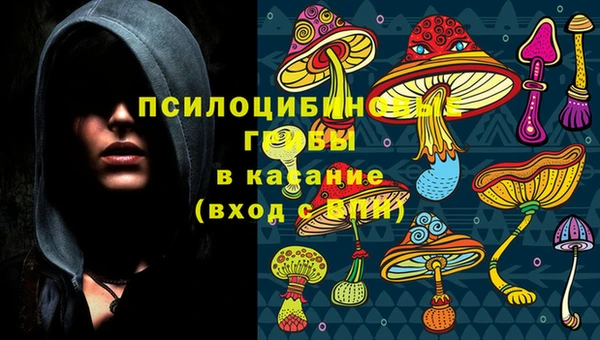дмт Навашино