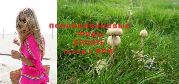 ешки Надым