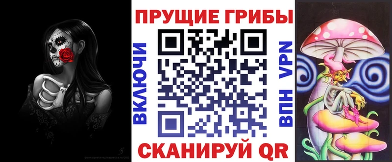 сайты даркнета как зайти  Подольск  Псилоцибиновые грибы Psilocybe  где можно купить наркотик 